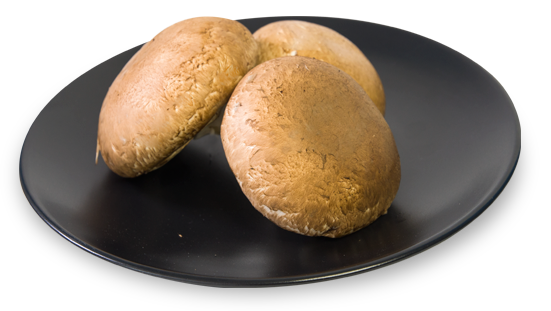 portobello.champinon-kilo